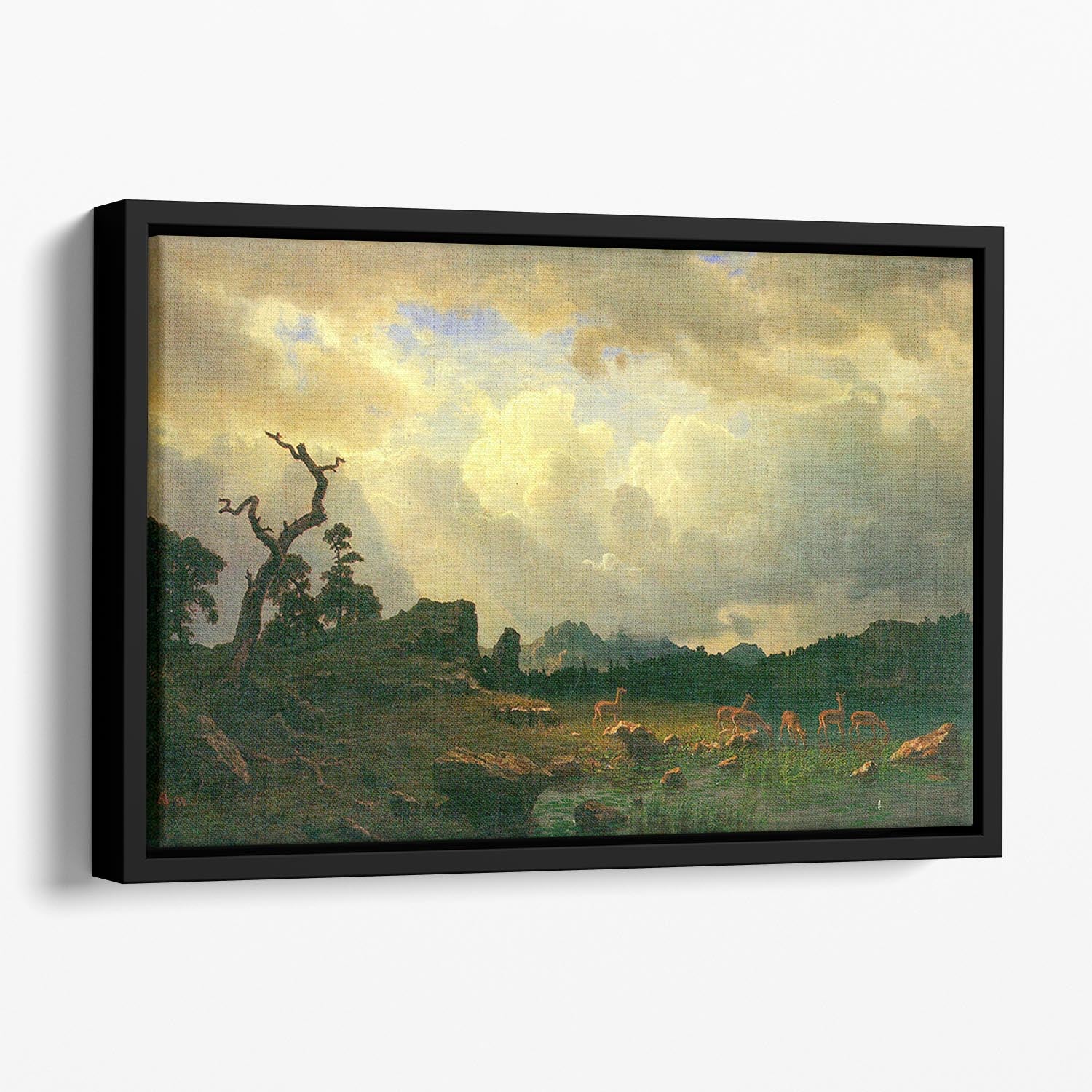 Thunderstorms in the Rocky Mountains by Bierstadt Floating Framed Canvas - Canvas Art Rocks - 1