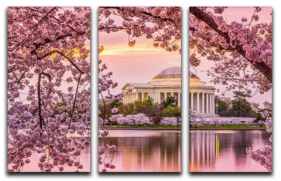 Tidal Basin and Jefferson Memorial cherry blossom season 3 Split Panel Canvas Print - Canvas Art Rocks - 1