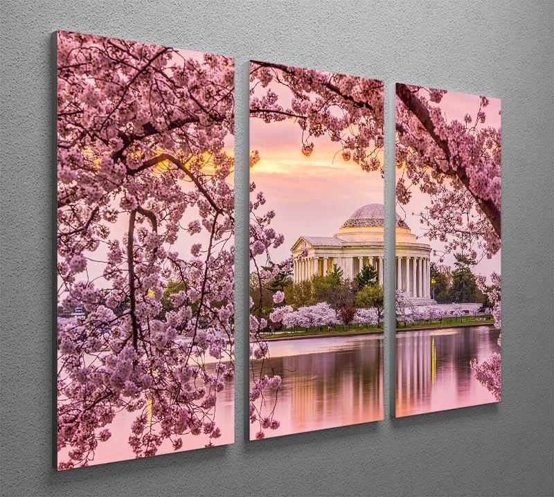 Tidal Basin and Jefferson Memorial cherry blossom season 3 Split Panel Canvas Print - Canvas Art Rocks - 2