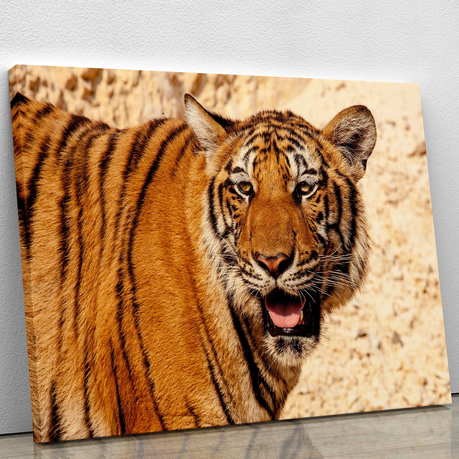 Tiger In The Heat Canvas Print or Poster - Canvas Art Rocks - 1
