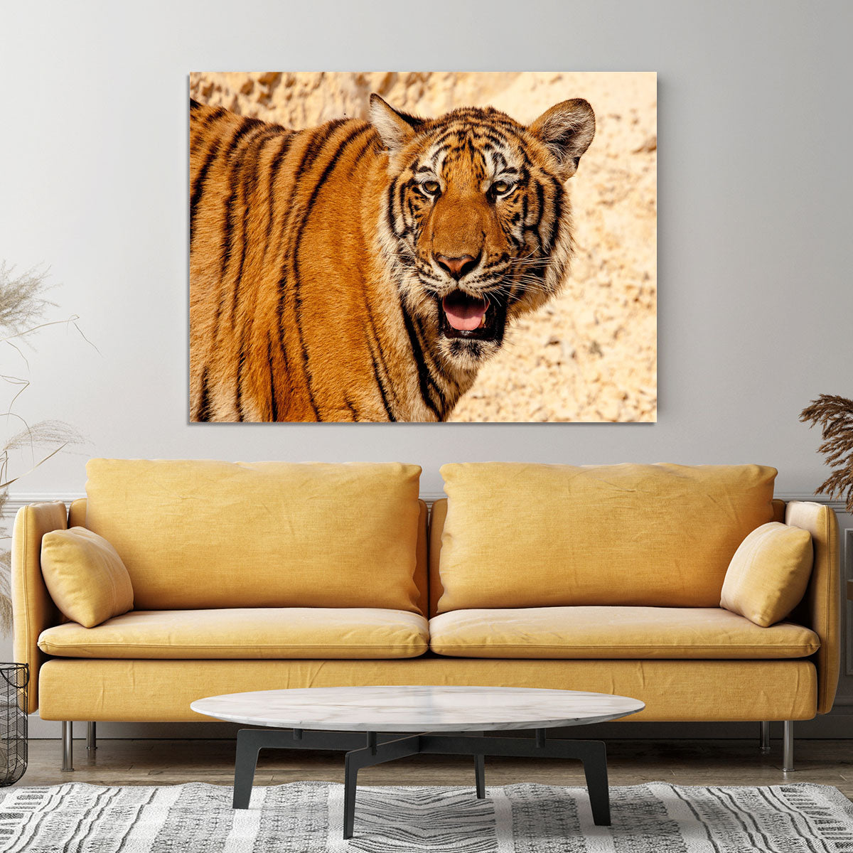 Tiger In The Heat Canvas Print or Poster - Canvas Art Rocks - 4