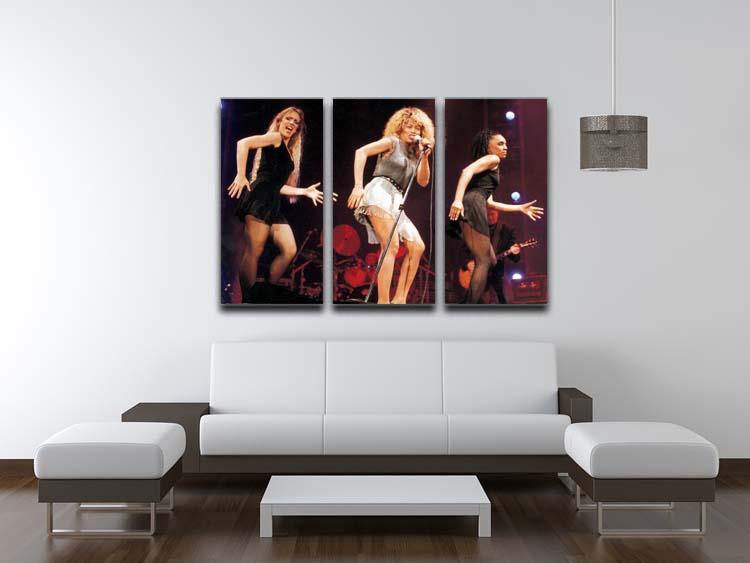 Tina Turner on stage 3 Split Panel Canvas Print - Canvas Art Rocks - 3