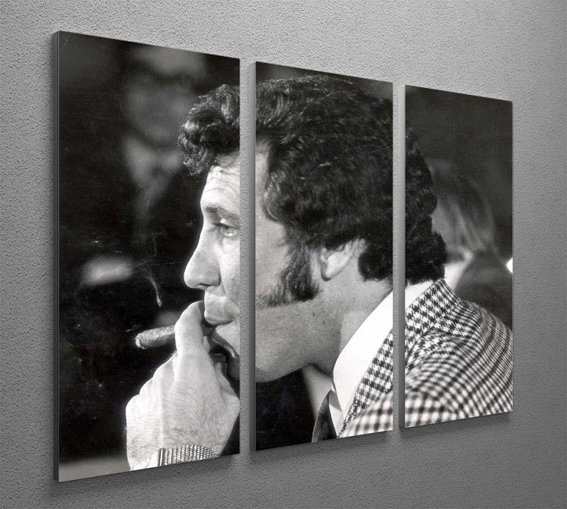 Tom Jones with cigar 3 Split Panel Canvas Print - Canvas Art Rocks - 2