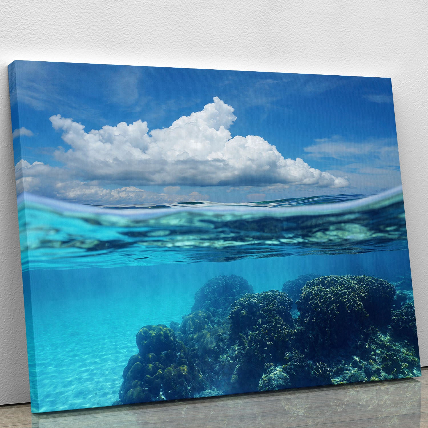 Top half with blue sky and cloud Canvas Print or Poster - Canvas Art Rocks - 1
