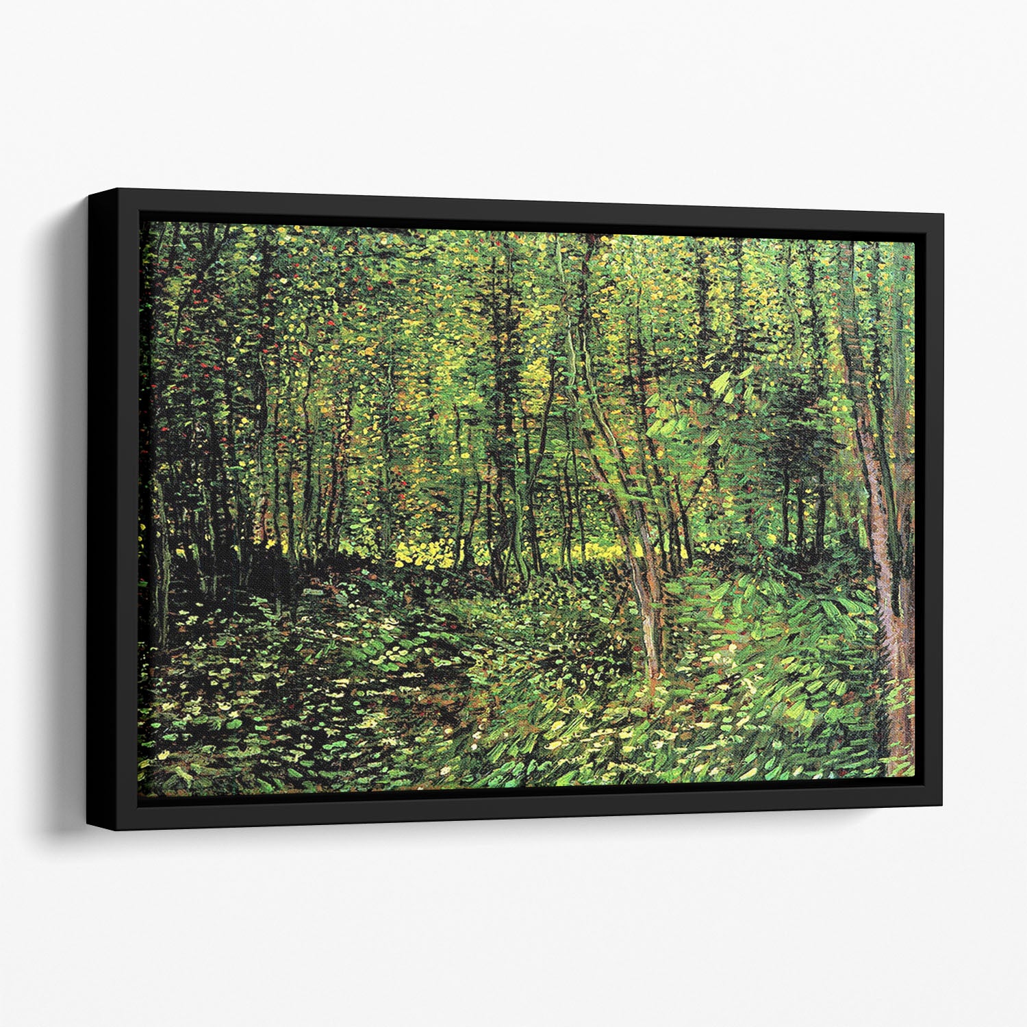Trees and Undergrowth 2 by Van Gogh Floating Framed Canvas