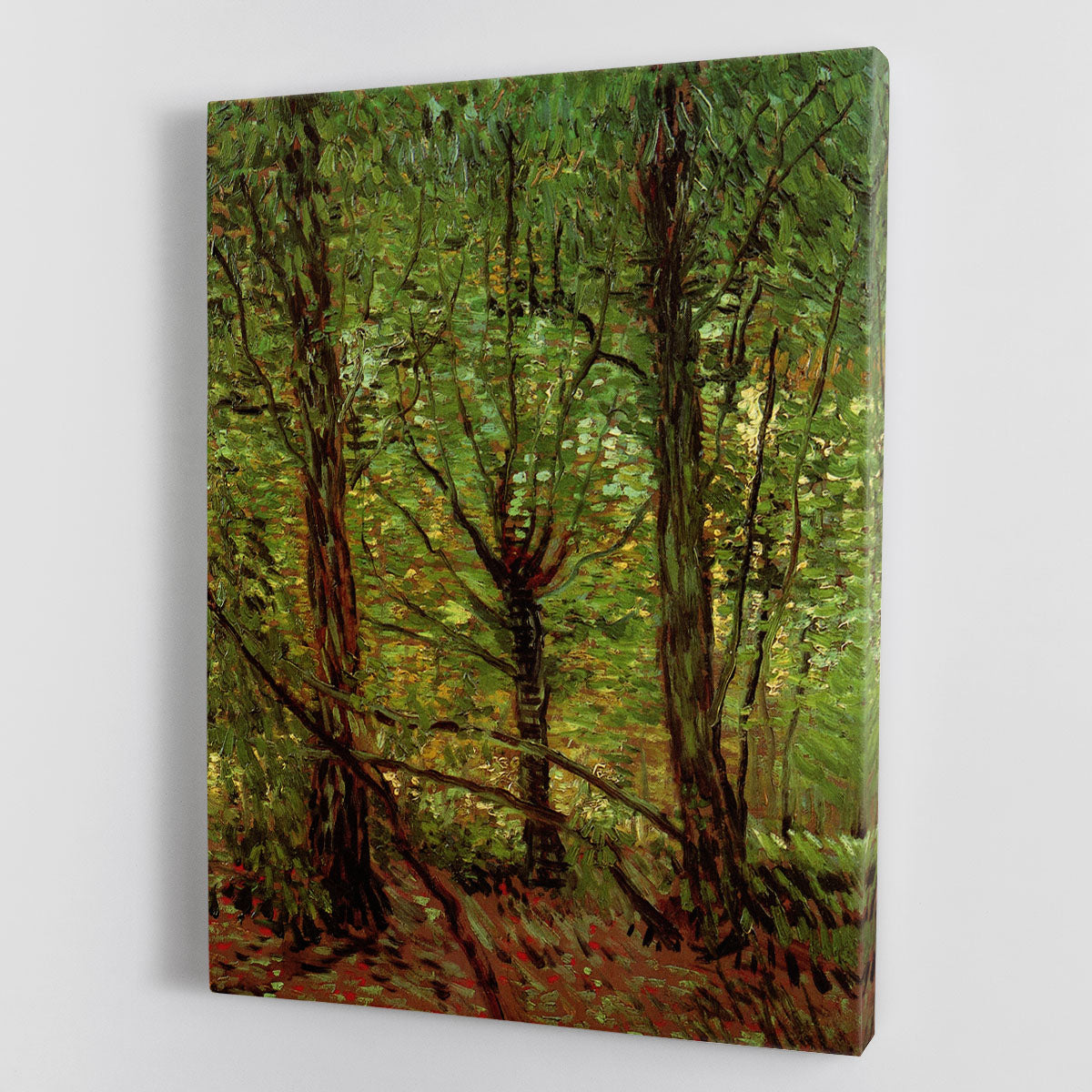 Trees and Undergrowth by Van Gogh Canvas Print or Poster - Canvas Art Rocks - 1