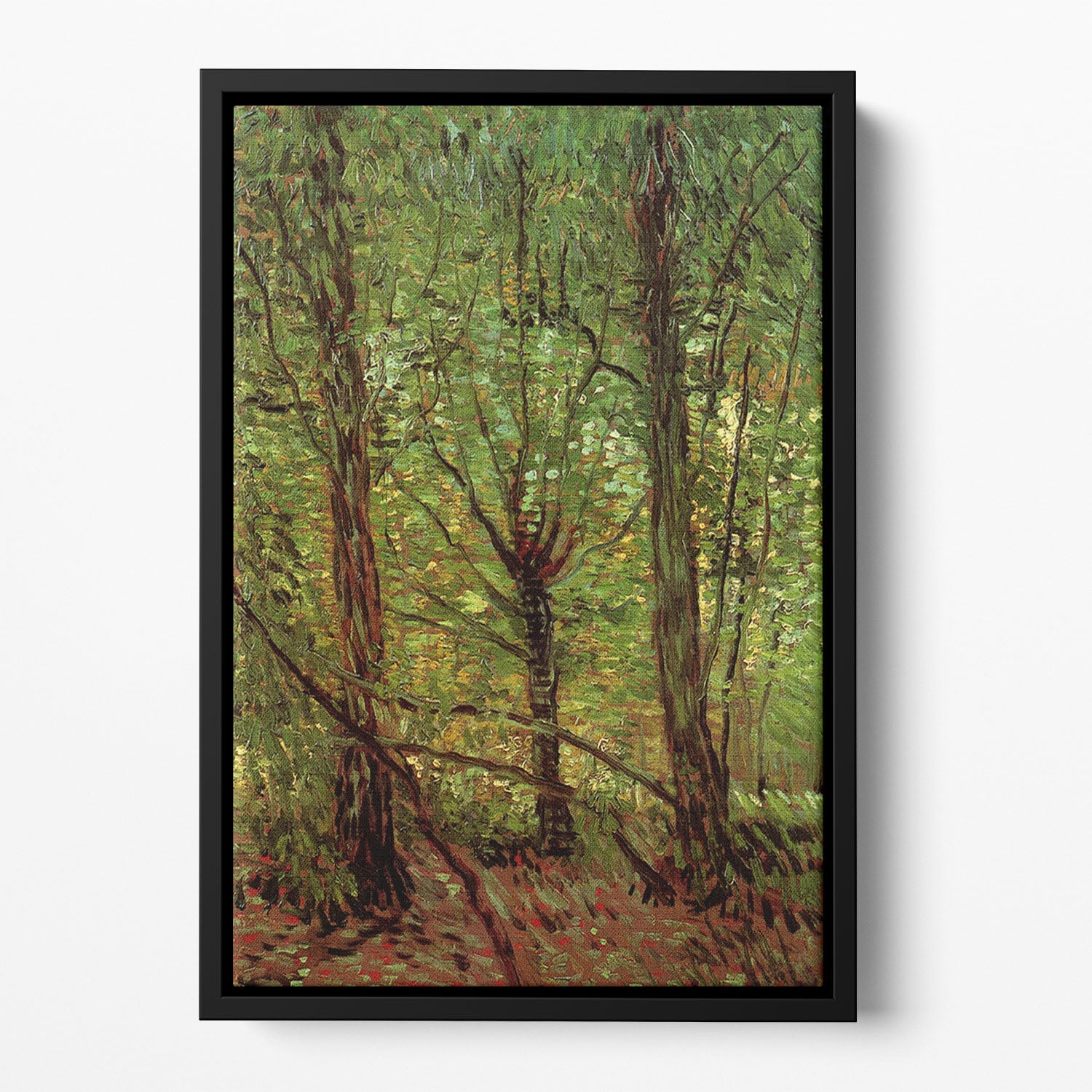 Trees and Undergrowth by Van Gogh Floating Framed Canvas