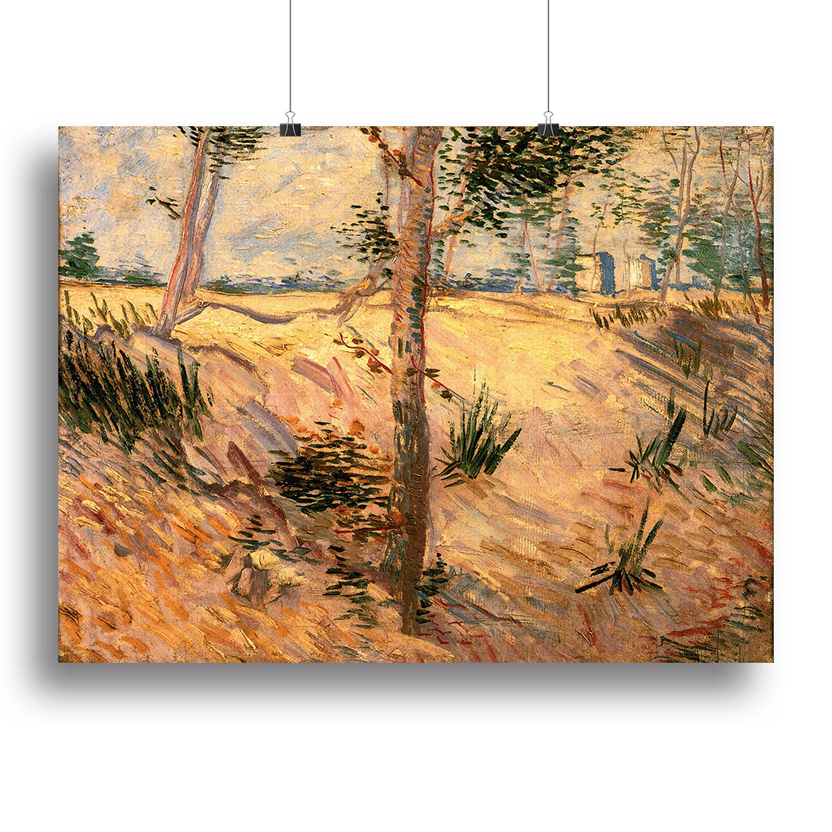 Trees in a Field on a Sunny Day by Van Gogh Canvas Print or Poster - Canvas Art Rocks - 2