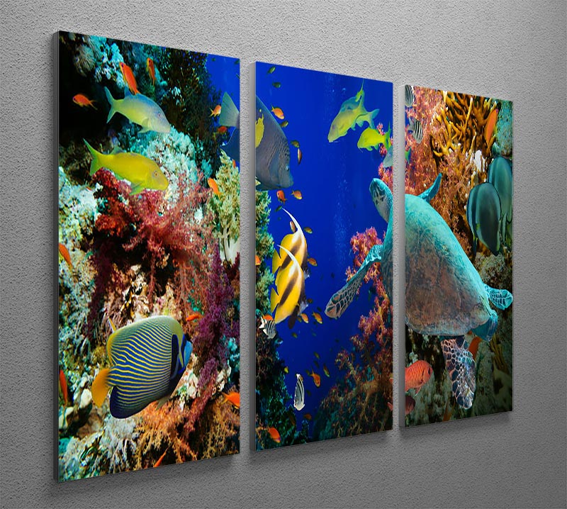 Tropical Anthias fish with net fire corals and shark on Red Sea reef 3 Split Panel Canvas Print - Canvas Art Rocks - 2