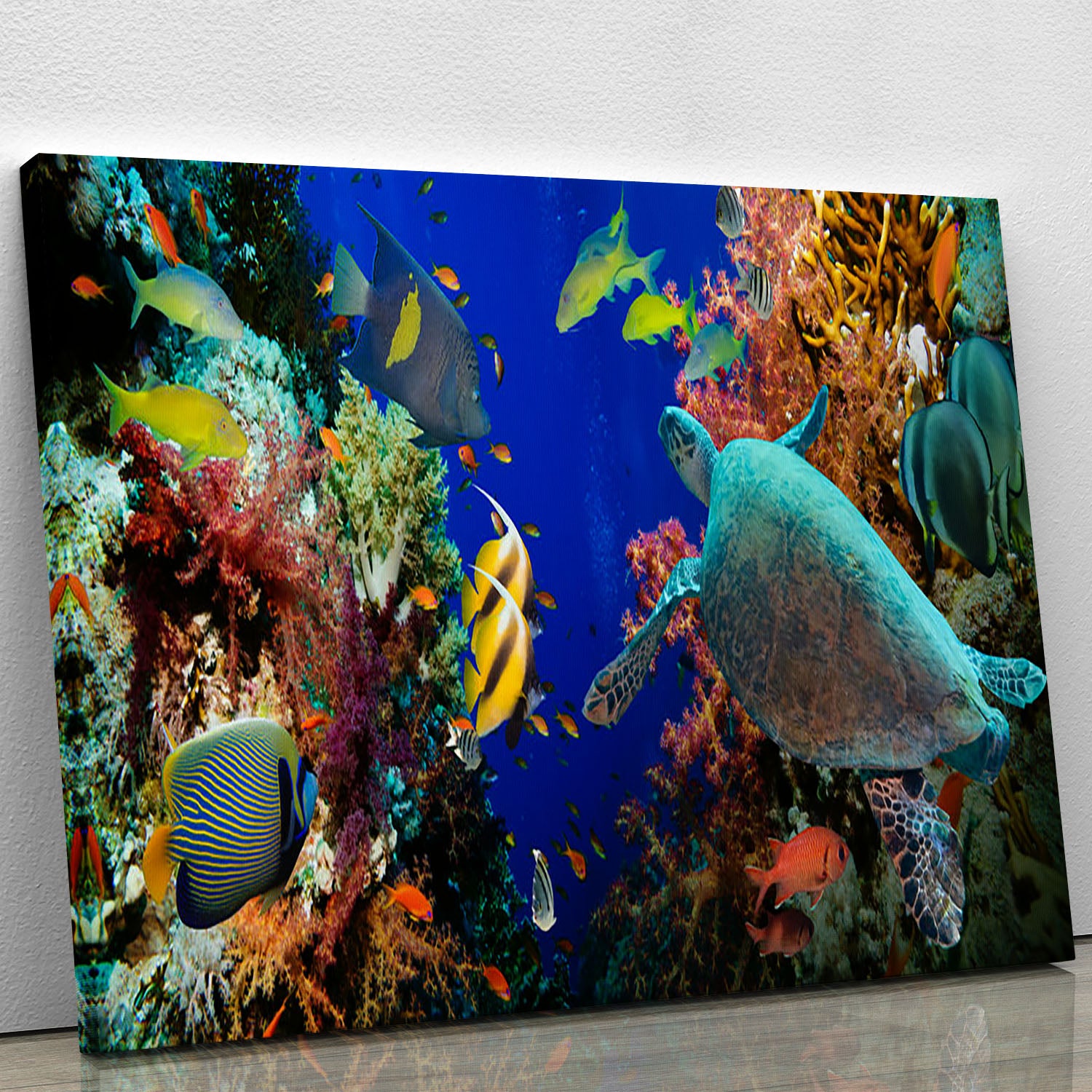 Tropical Anthias fish with net fire corals and shark on Red Sea reef Canvas Print or Poster - Canvas Art Rocks - 1