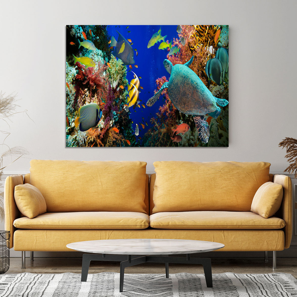 Tropical Anthias fish with net fire corals and shark on Red Sea reef Canvas Print or Poster - Canvas Art Rocks - 4