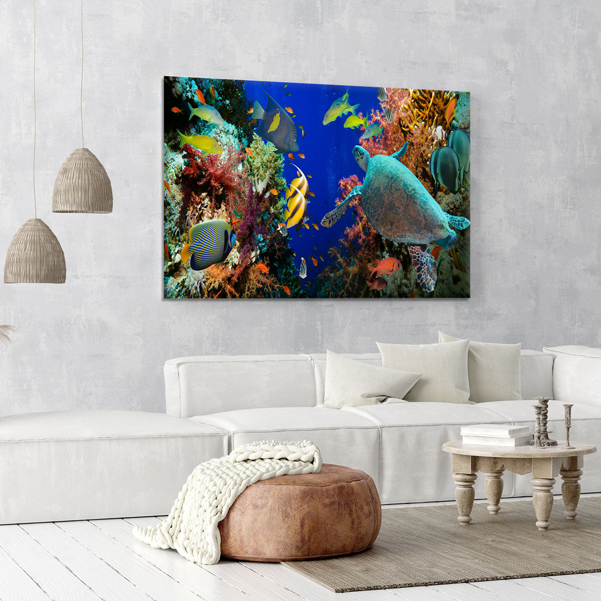 Tropical Anthias fish with net fire corals and shark on Red Sea reef Canvas Print or Poster - Canvas Art Rocks - 6