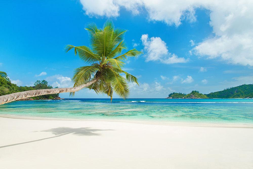 Tropical beach Baie Lazare Wall Mural Wallpaper - Canvas Art Rocks - 1