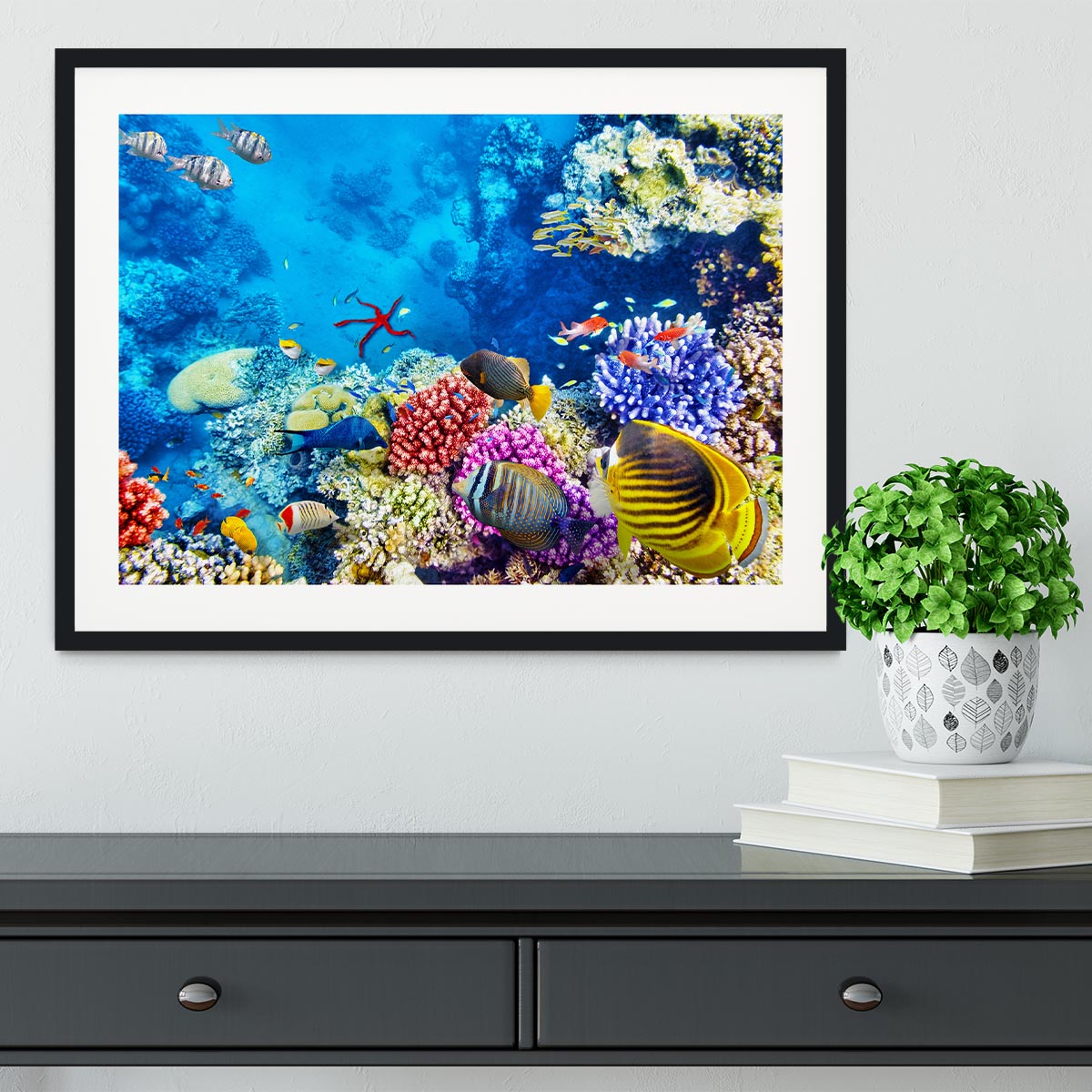 Tropical fish Framed Print - Canvas Art Rocks - 1