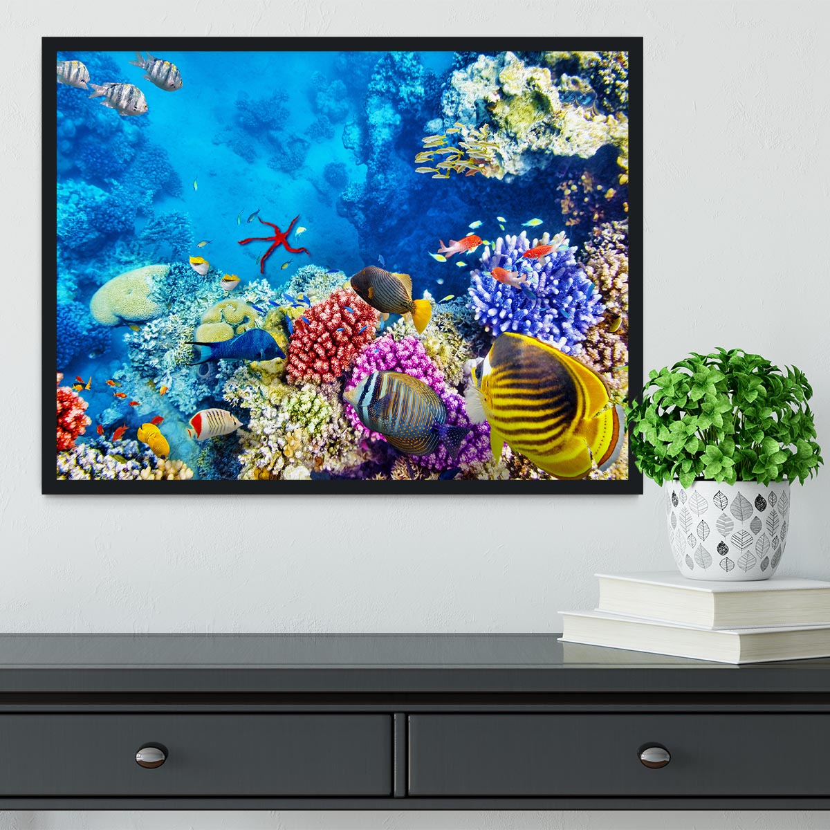 Tropical fish Framed Print - Canvas Art Rocks - 2
