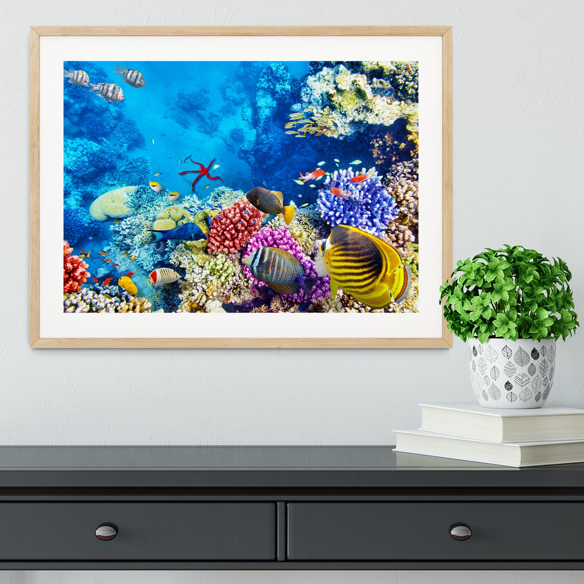 Tropical fish Framed Print - Canvas Art Rocks - 3