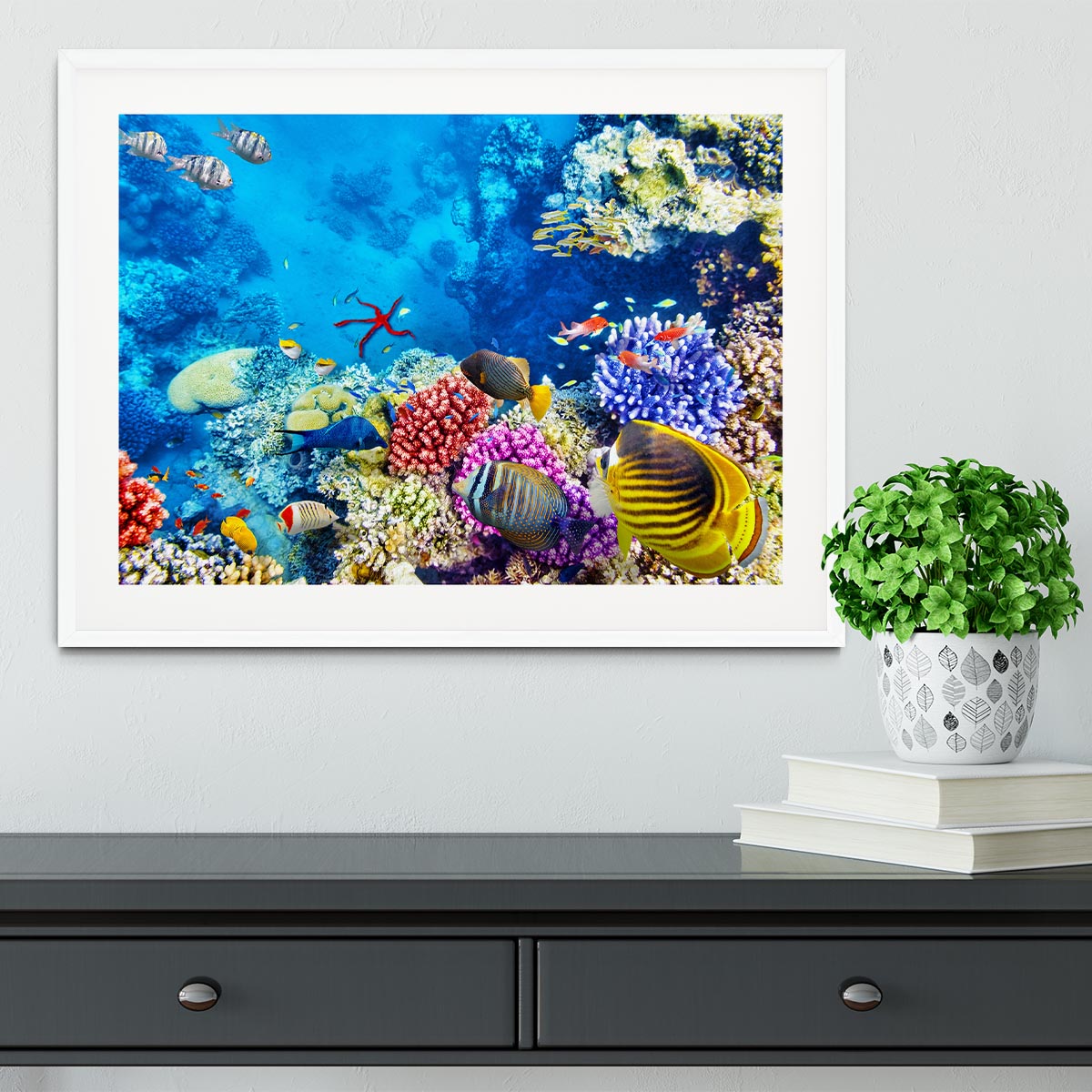 Tropical fish Framed Print - Canvas Art Rocks - 5