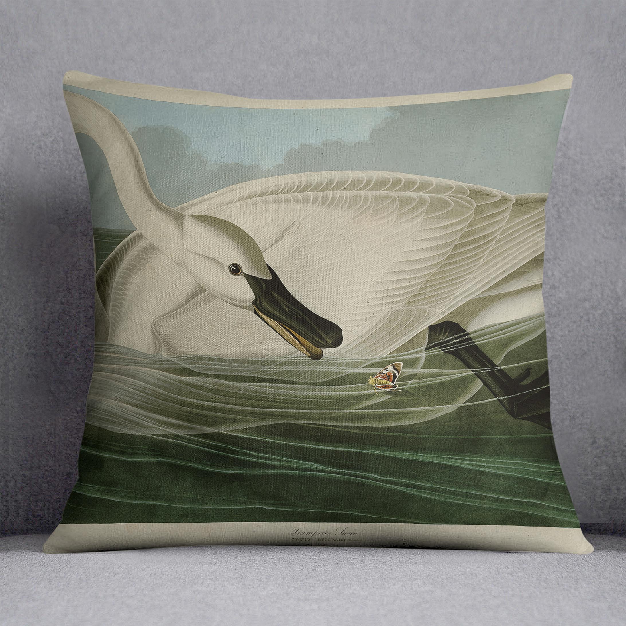 Trumpeter Swan by Audubon Cushion