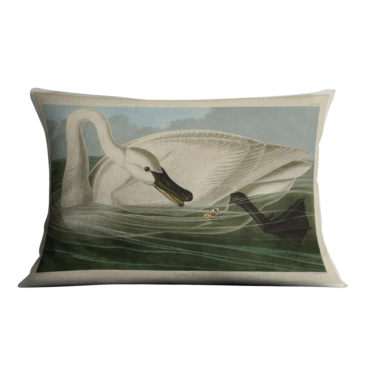 Trumpeter Swan by Audubon Cushion