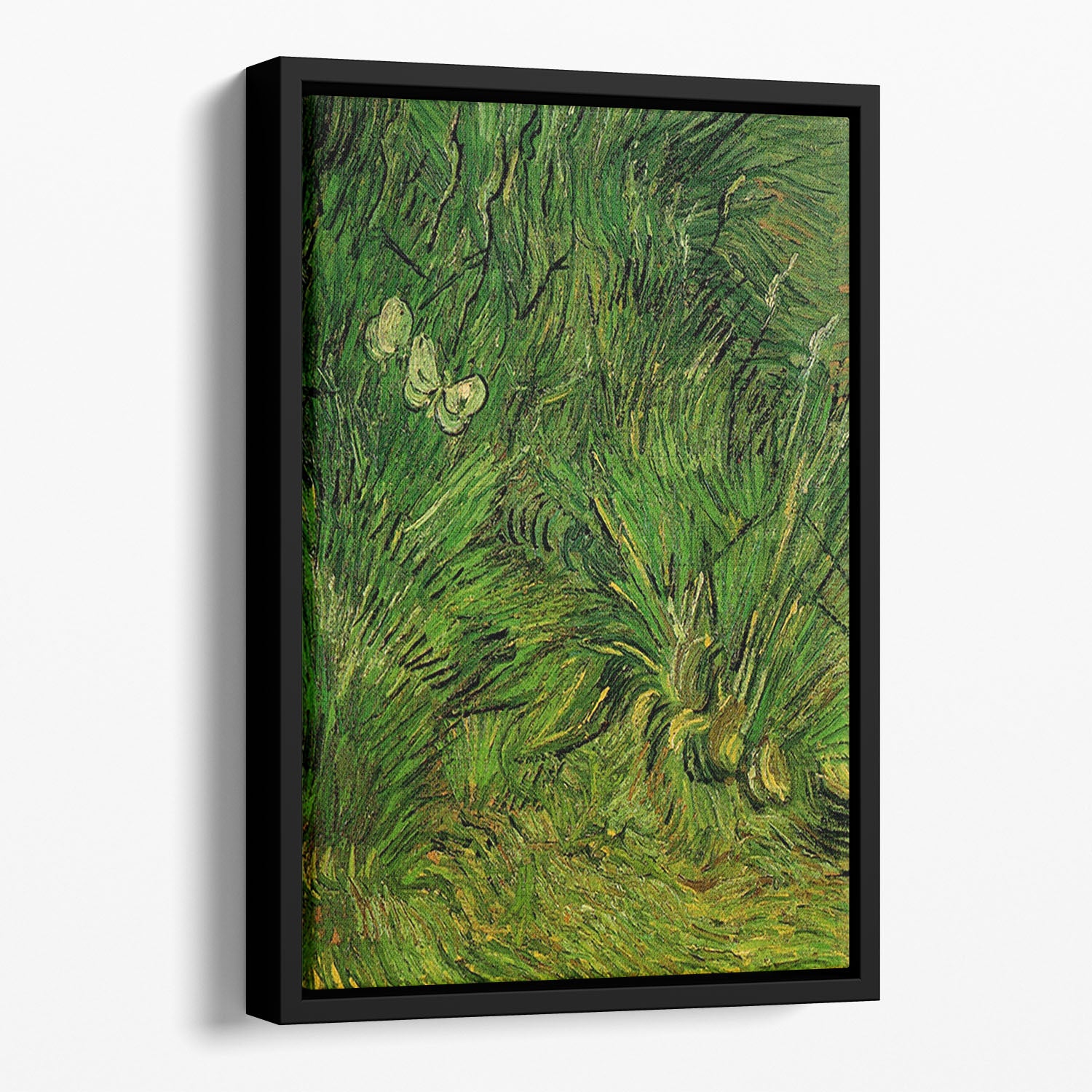 Two White Butterflies by Van Gogh Floating Framed Canvas