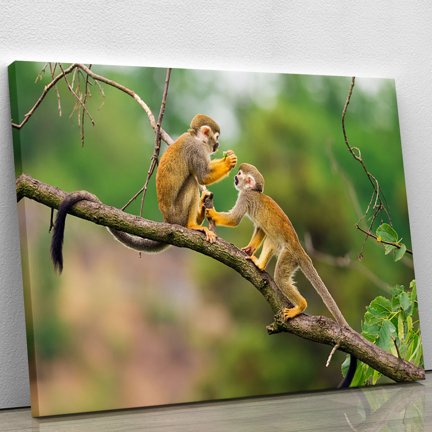 Two common squirrel monkeys Canvas Print or Poster - Canvas Art Rocks - 1
