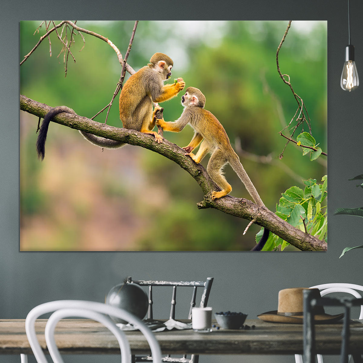 Two common squirrel monkeys Canvas Print or Poster - Canvas Art Rocks - 3