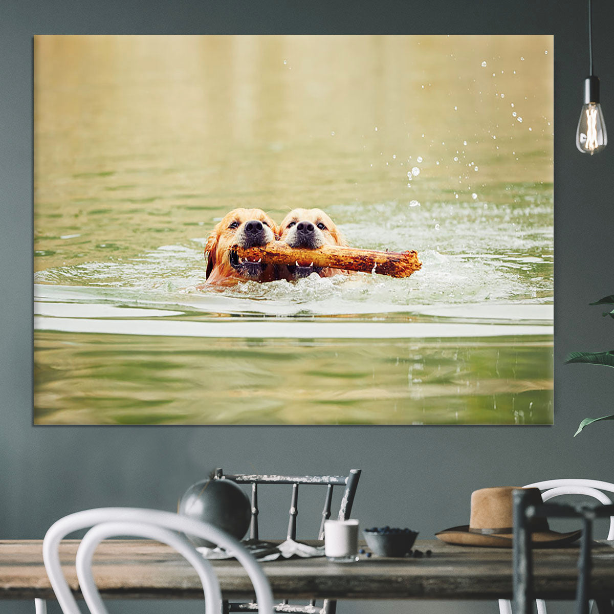Two golden retrievers dogs are swimming with stick Canvas Print or Poster - Canvas Art Rocks - 3