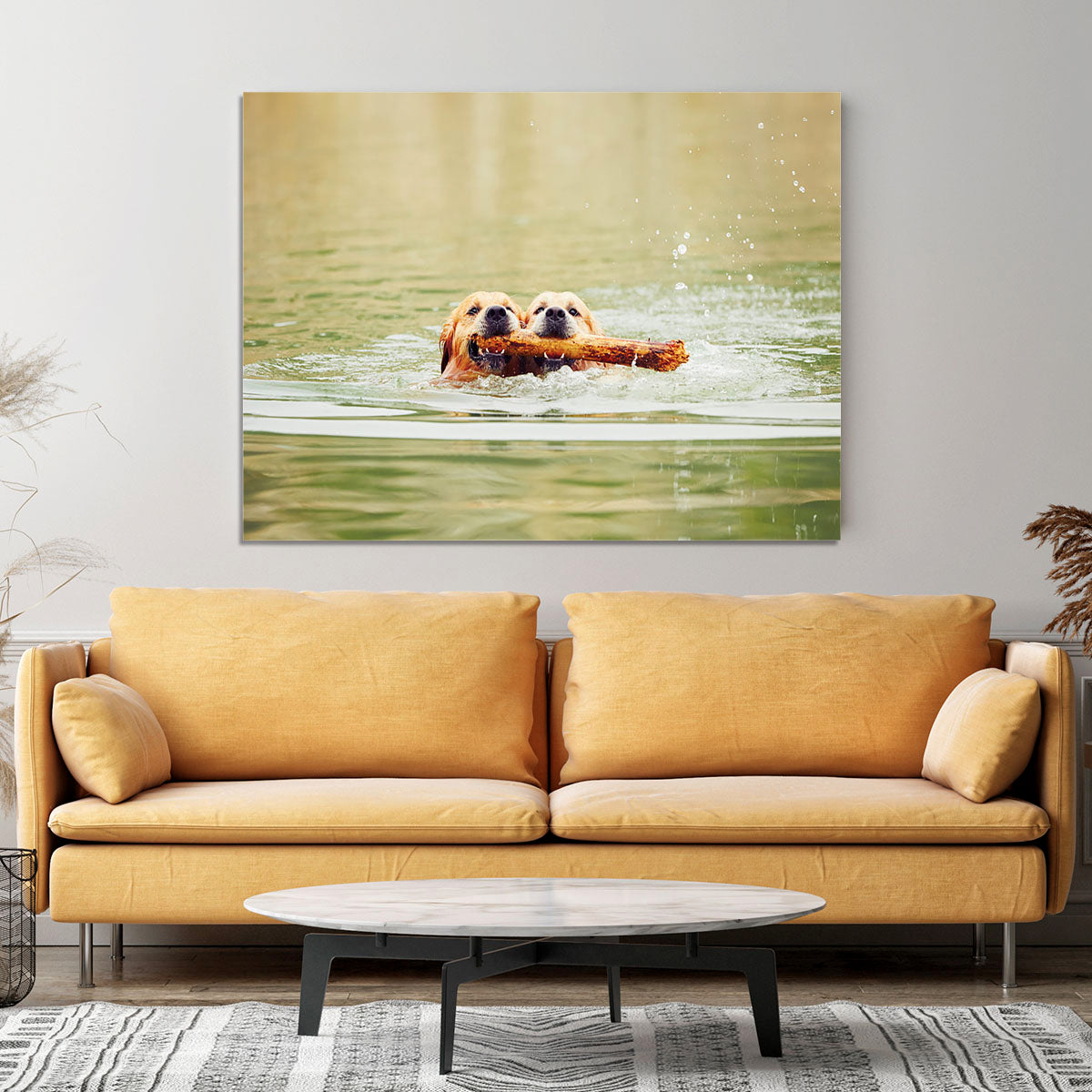 Two golden retrievers dogs are swimming with stick Canvas Print or Poster - Canvas Art Rocks - 4
