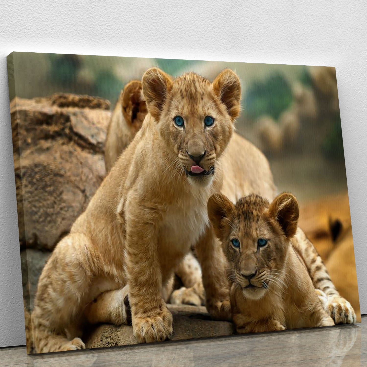 Two little Lion Cubs looking at something Canvas Print or Poster - Canvas Art Rocks - 1
