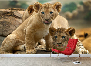 Two little Lion Cubs looking at something Wall Mural Wallpaper - Canvas Art Rocks - 2