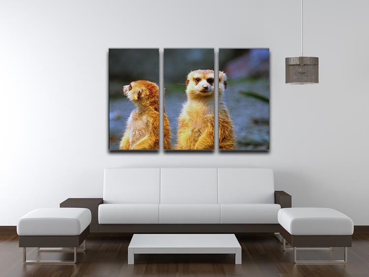Two meerkats watching over their family in zoo 3 Split Panel Canvas Print - Canvas Art Rocks - 3