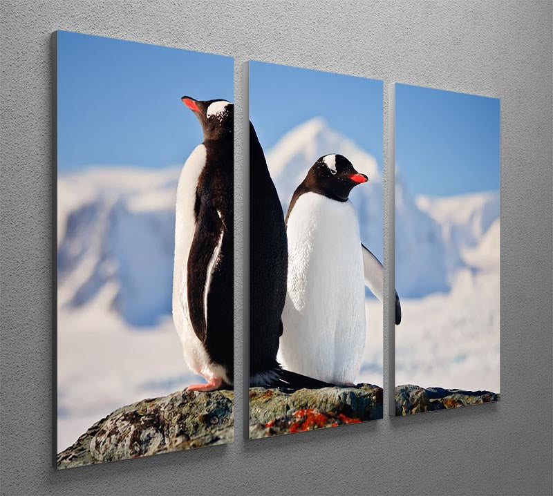 Two penguins dreaming sitting on a rock 3 Split Panel Canvas Print - Canvas Art Rocks - 2