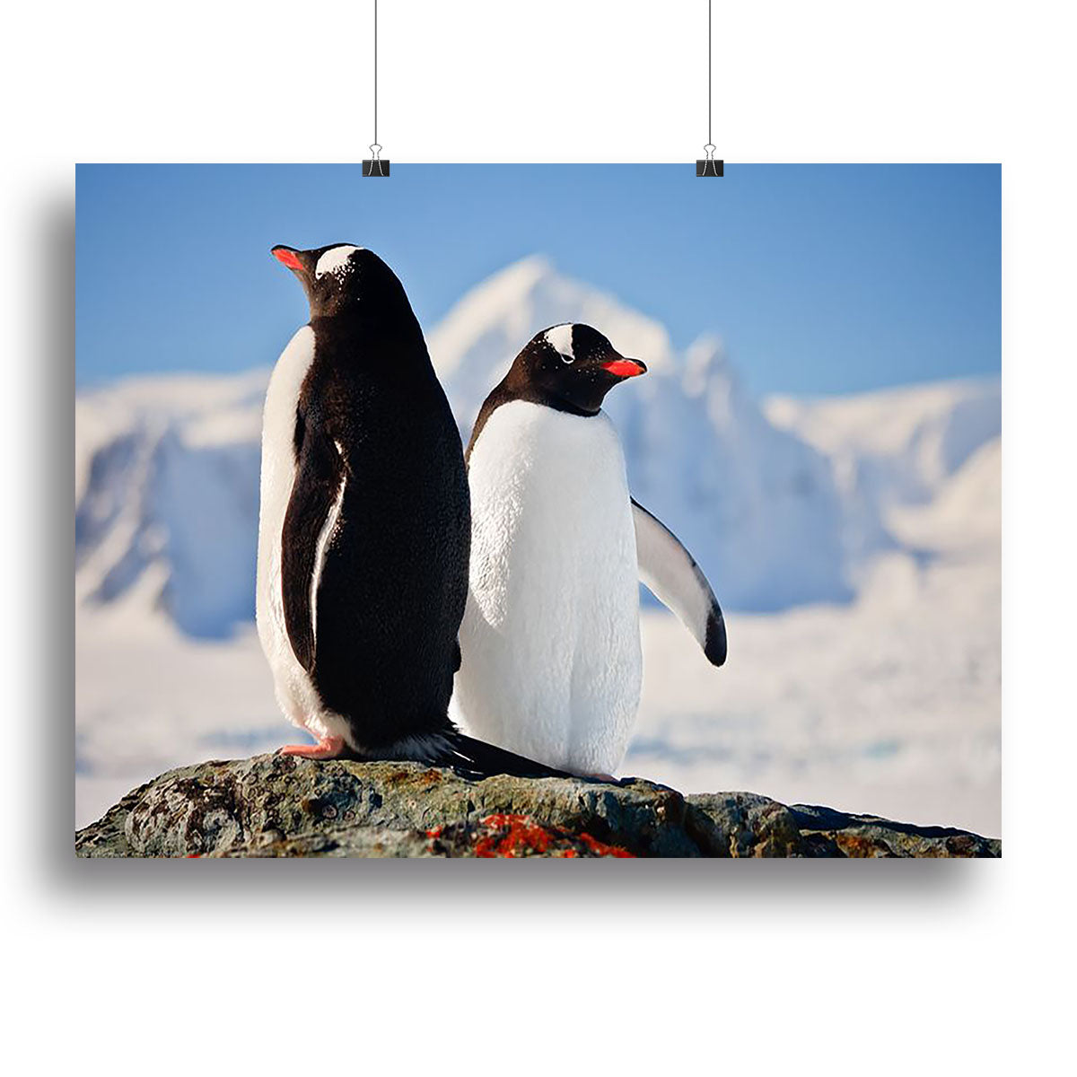 Two penguins dreaming sitting on a rock Canvas Print or Poster - Canvas Art Rocks - 2