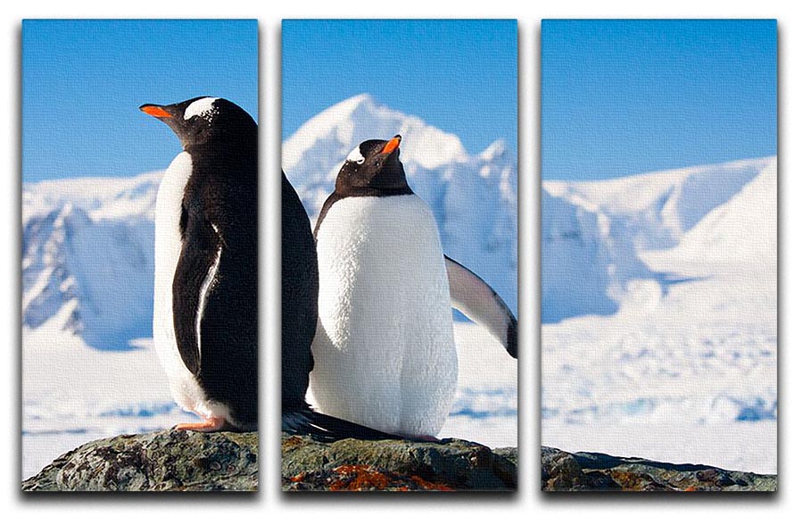 Two penguins dreaming together sitting on a rock 3 Split Panel Canvas Print - Canvas Art Rocks - 1