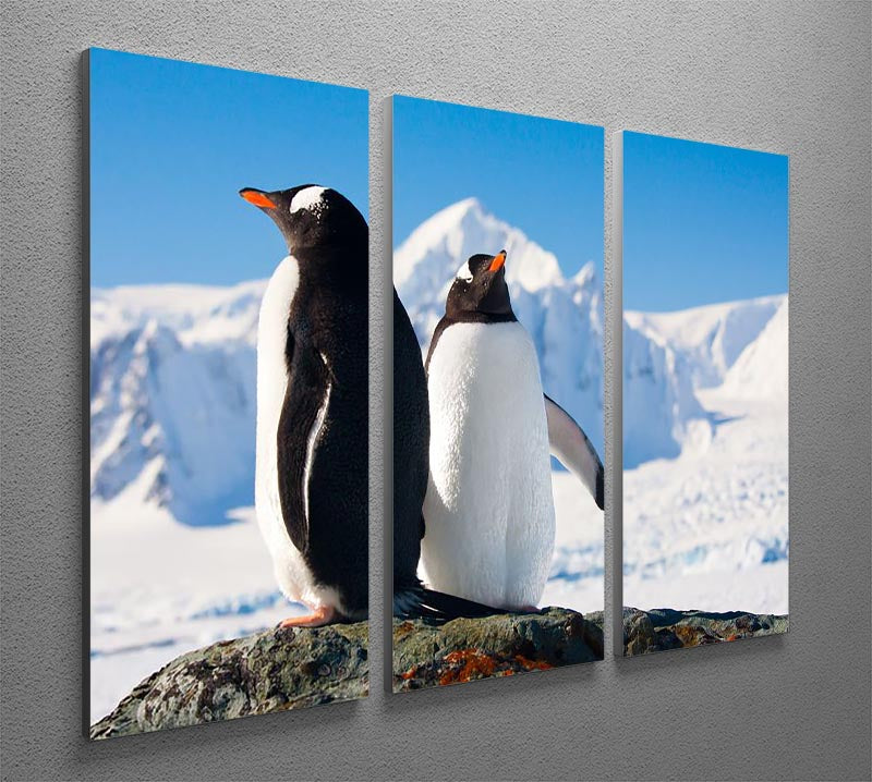 Two penguins dreaming together sitting on a rock 3 Split Panel Canvas Print - Canvas Art Rocks - 2