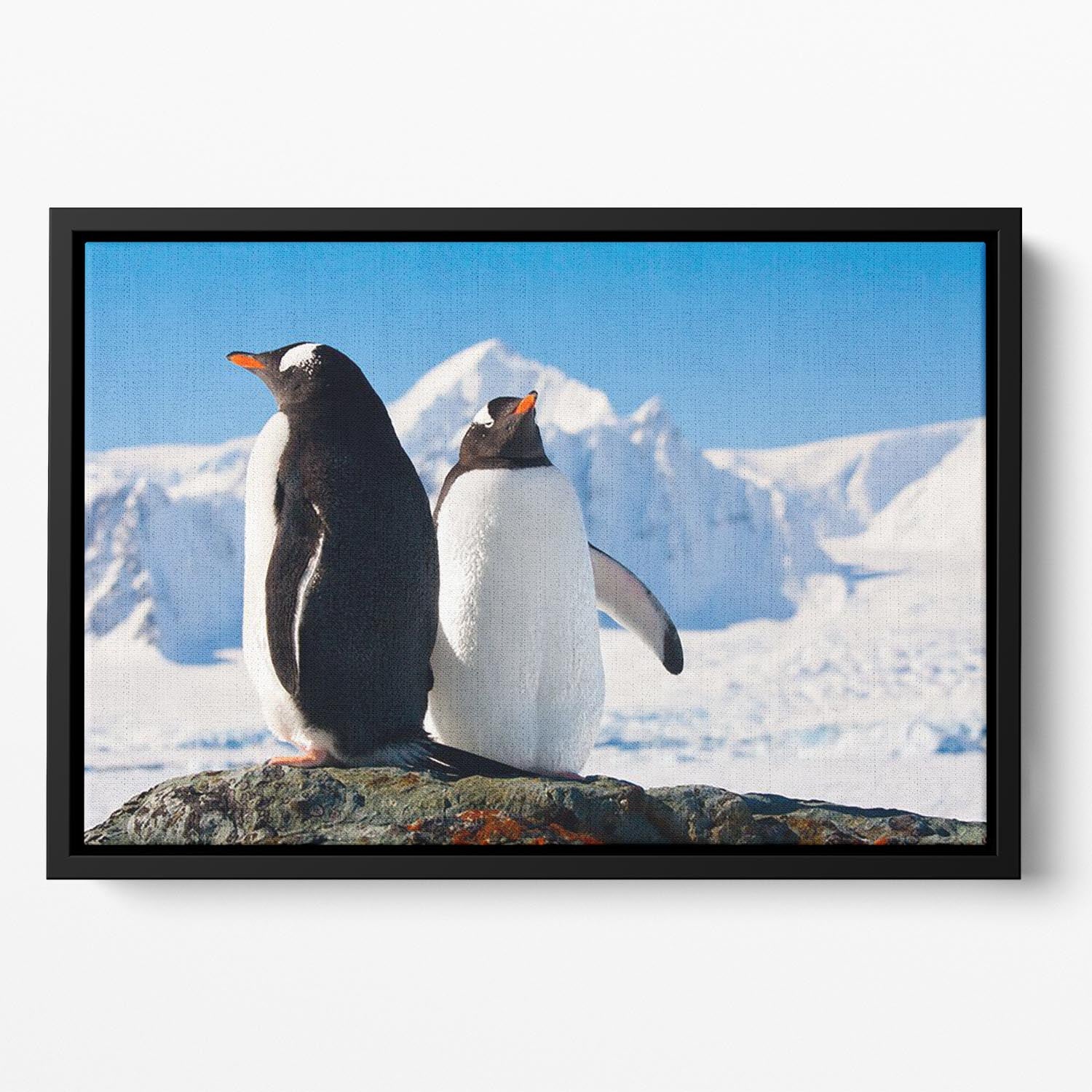 Two penguins dreaming together sitting on a rock Floating Framed Canvas - Canvas Art Rocks - 2