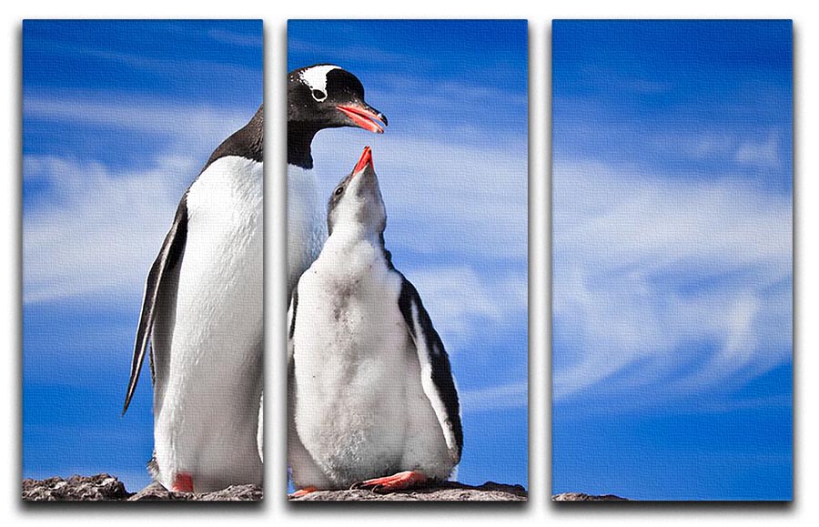 Two penguins resting 3 Split Panel Canvas Print - Canvas Art Rocks - 1