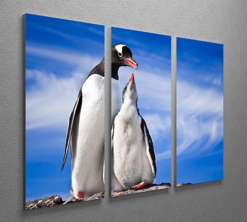 Two penguins resting 3 Split Panel Canvas Print - Canvas Art Rocks - 2