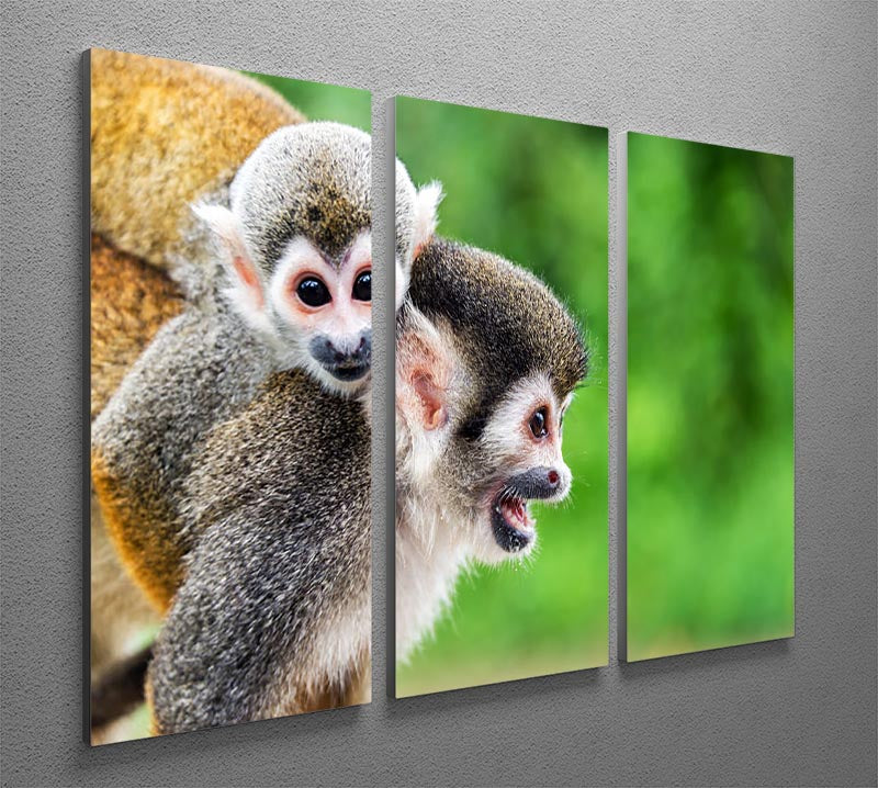 Two squirrel monkeys 3 Split Panel Canvas Print - Canvas Art Rocks - 2