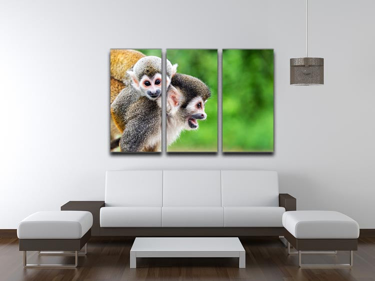Two squirrel monkeys 3 Split Panel Canvas Print - Canvas Art Rocks - 3