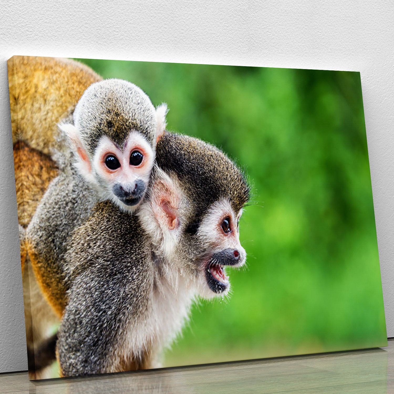 Two squirrel monkeys Canvas Print or Poster - Canvas Art Rocks - 1