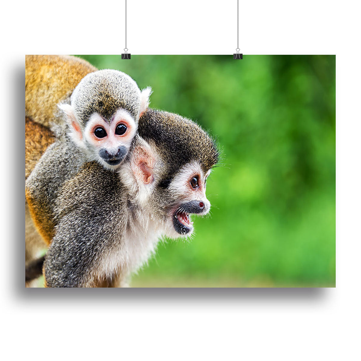 Two squirrel monkeys Canvas Print or Poster - Canvas Art Rocks - 2