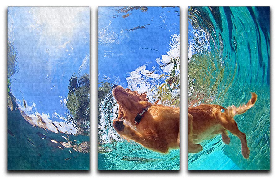 Underwater photo of golden labrador retriever puppy 3 Split Panel Canvas Print - Canvas Art Rocks - 1