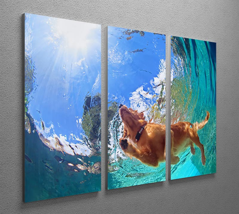 Underwater photo of golden labrador retriever puppy 3 Split Panel Canvas Print - Canvas Art Rocks - 2