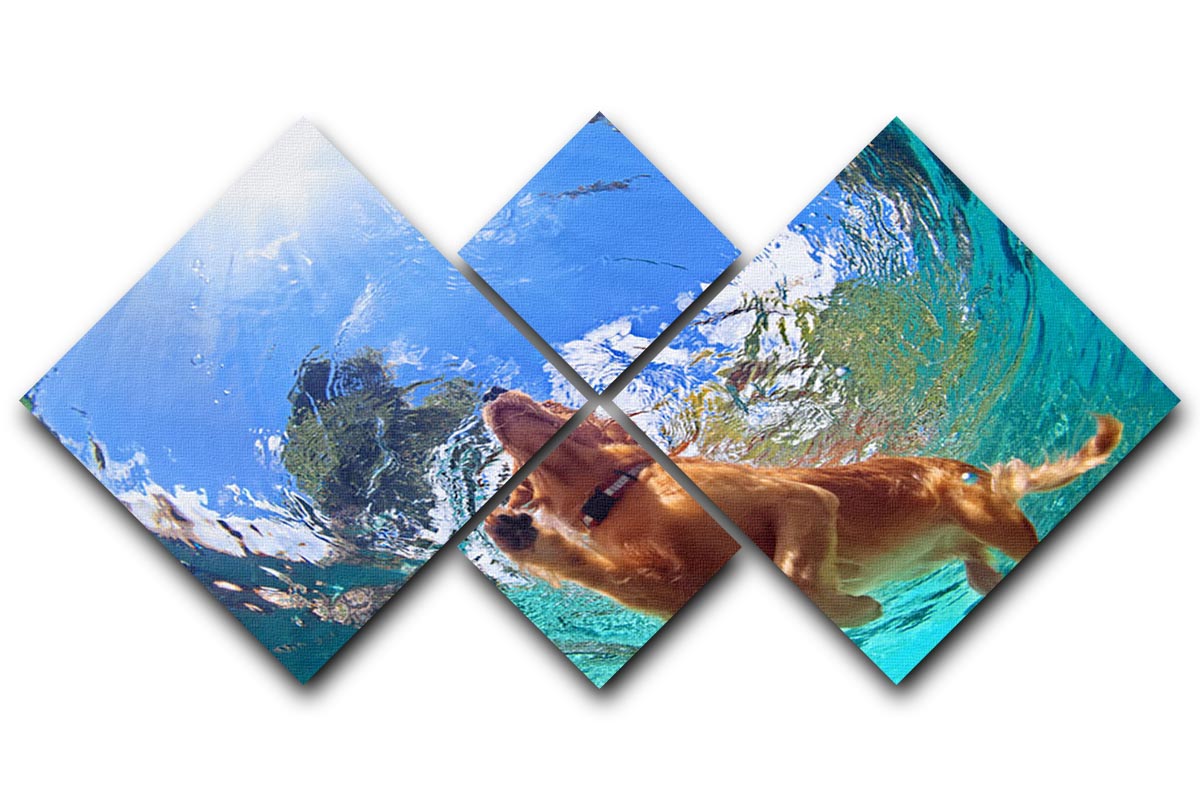 Underwater photo of golden labrador retriever puppy 4 Square Multi Panel Canvas - Canvas Art Rocks - 1