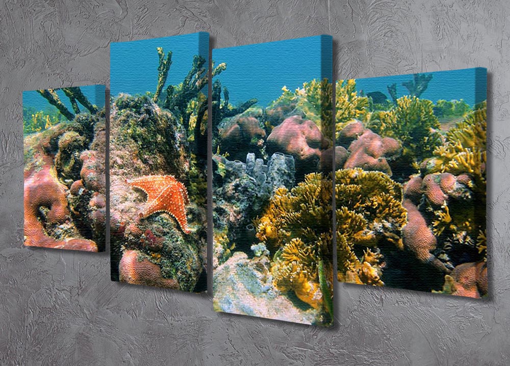 Underwater reef in the Caribbean sea with corals sponges and a starfish 4 Split Panel Canvas - Canvas Art Rocks - 2