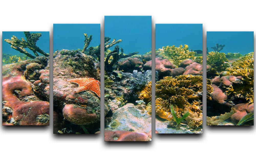 Underwater reef in the Caribbean sea with corals sponges and a starfish 5 Split Panel Canvas - Canvas Art Rocks - 1