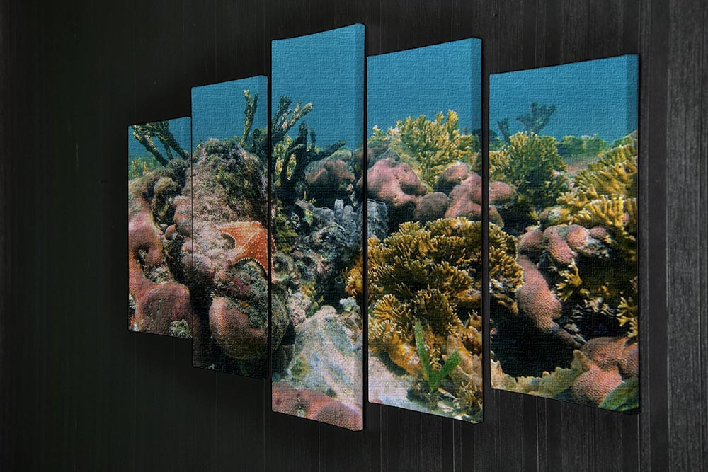 Underwater reef in the Caribbean sea with corals sponges and a starfish 5 Split Panel Canvas - Canvas Art Rocks - 2