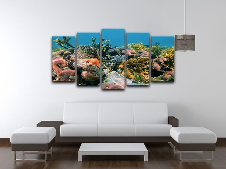 Underwater reef in the Caribbean sea with corals sponges and a starfish 5 Split Panel Canvas - Canvas Art Rocks - 3