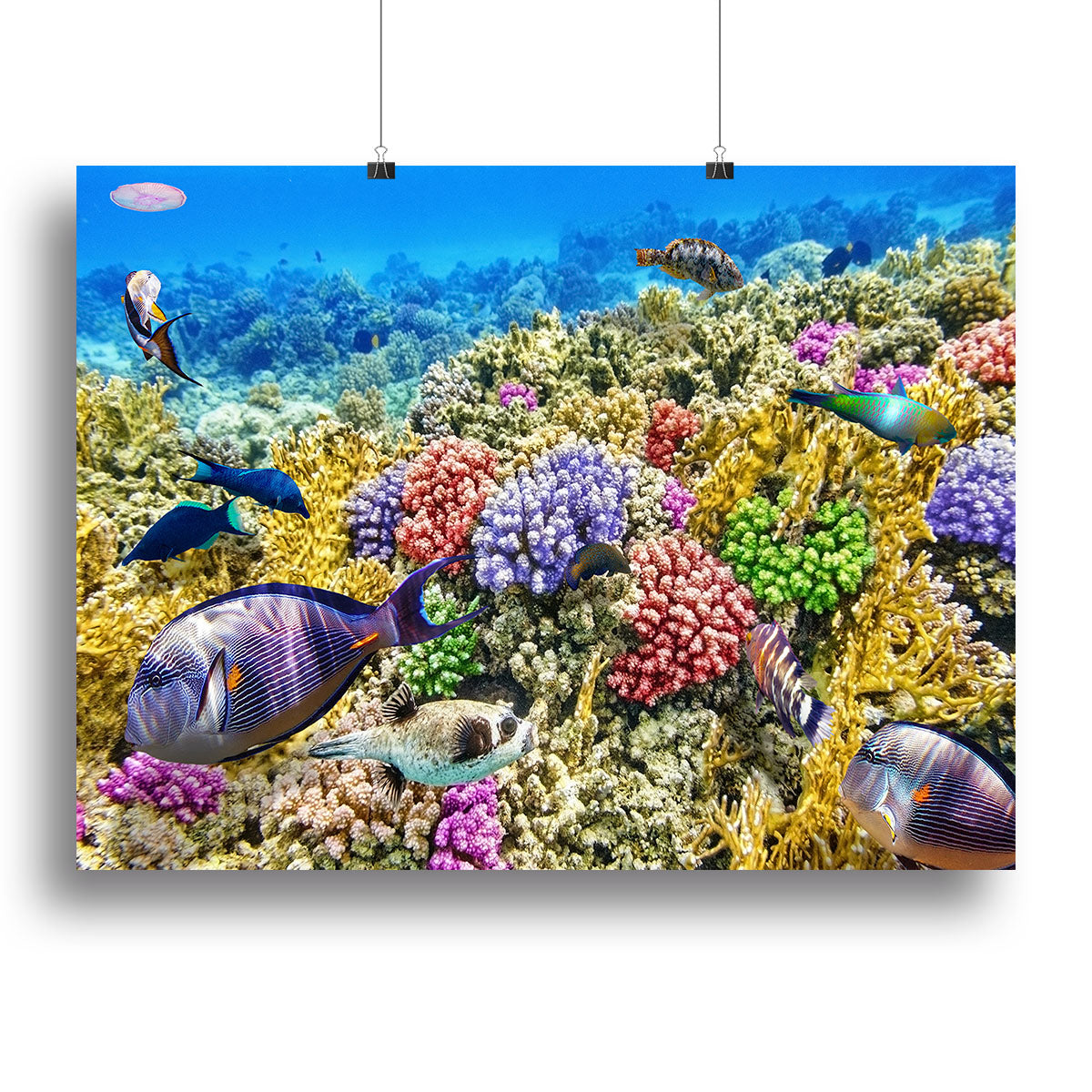 Underwater world with corals and tropical fish Canvas Print or Poster - Canvas Art Rocks - 2